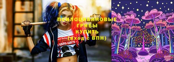 спайс Чердынь