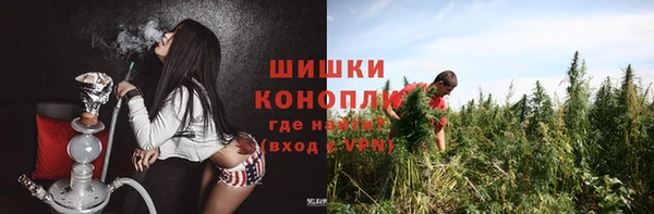 амф Чекалин